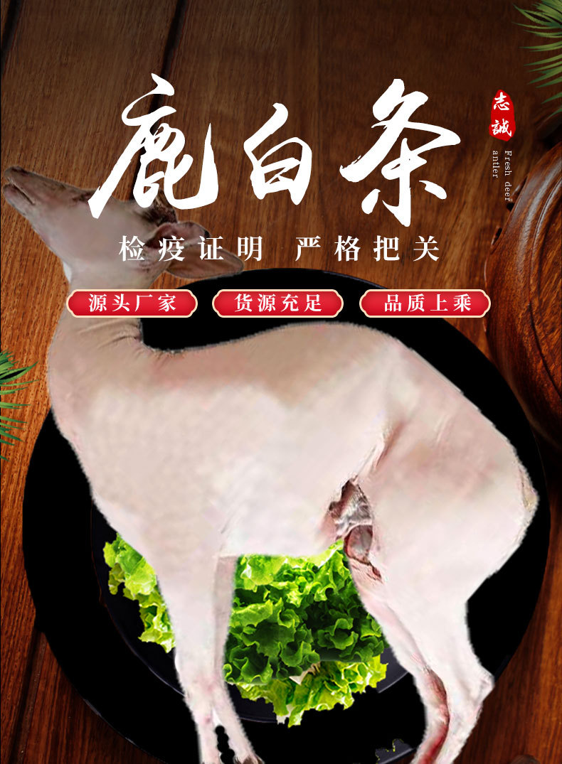 鹿白条_01.jpg