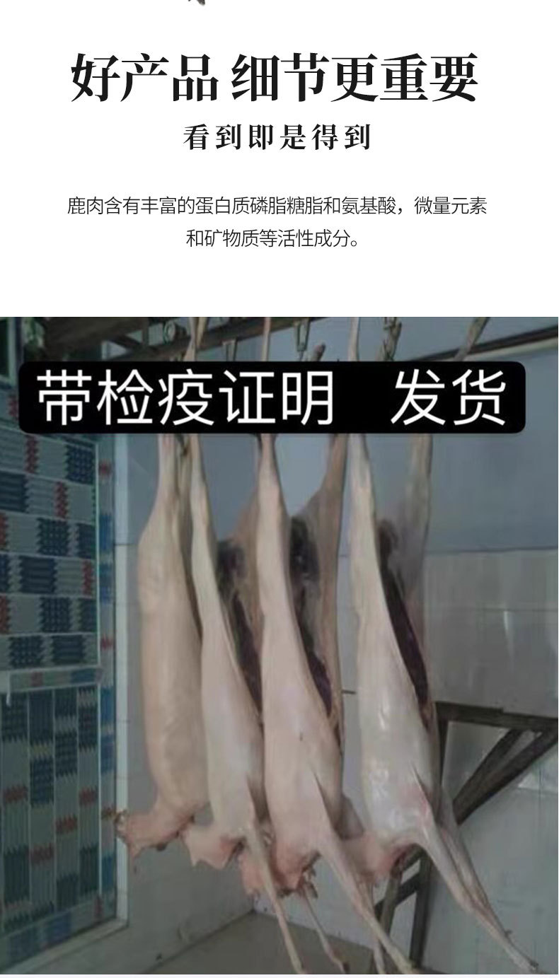 鹿白条_06.jpg