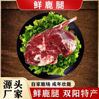 鲜鹿腿肉 厂家批发鹿肉整支鹿腿肉 吉林鹿乡鹿产品鲜鹿肉量大从优