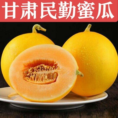 甘肃民勤沙漠蜜瓜黄金冰糖牛奶蜜瓜金红宝甜瓜黄皮哈密瓜香瓜水果