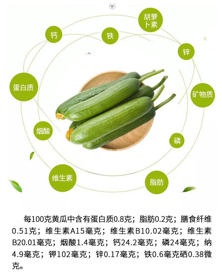 水果小黄瓜_07.jpg