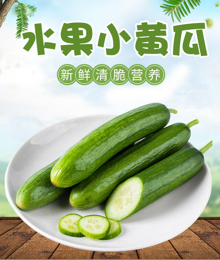 水果小黄瓜_01.jpg
