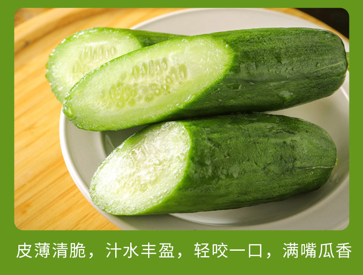 水果小黄瓜_11.jpg