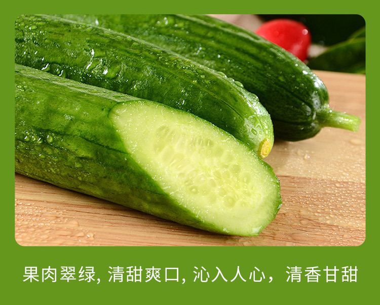 水果小黄瓜_12.jpg