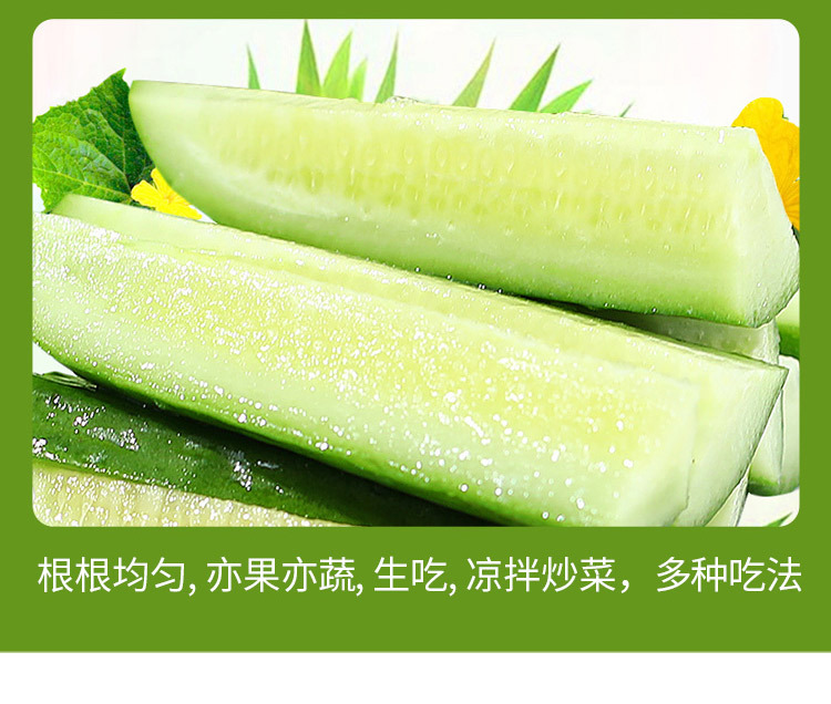 水果小黄瓜_14.jpg