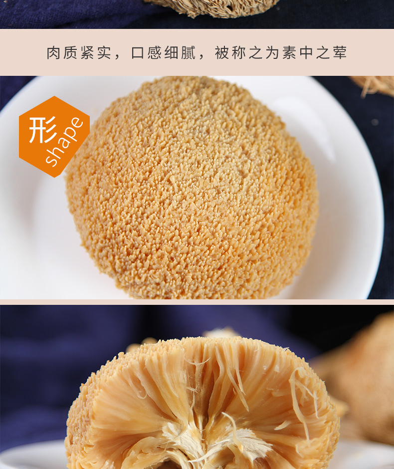 菌菇类分割图_05.jpg