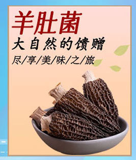 菌菇类分割图_04.jpg