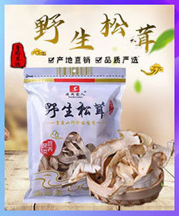 菌菇类分割图_08.jpg