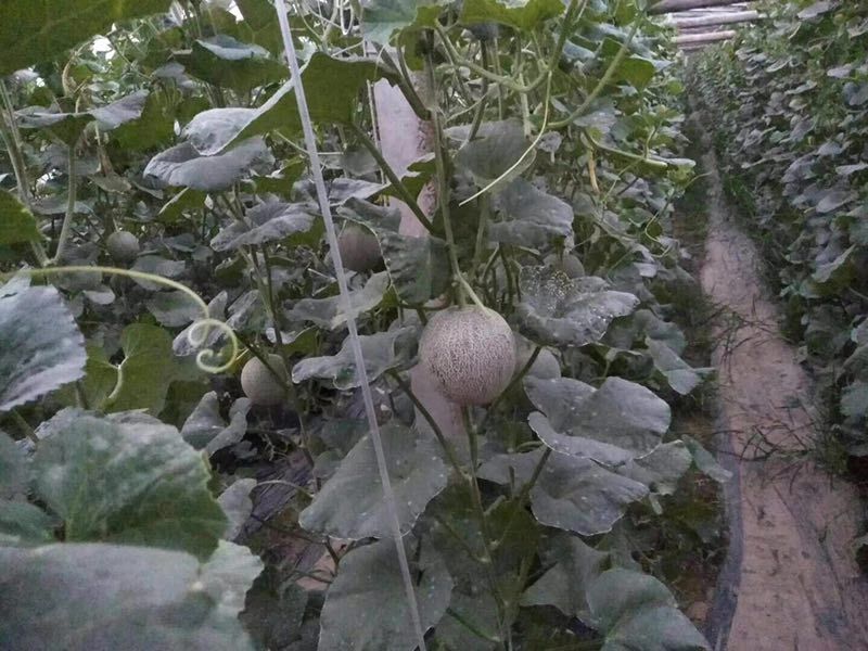 微信图片_201910091017475