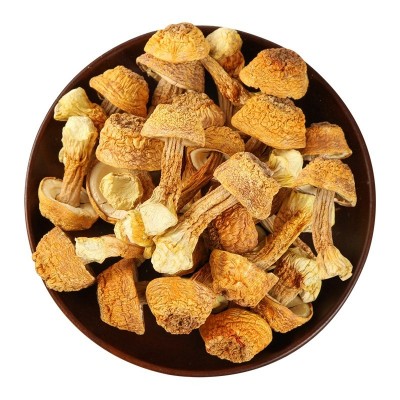 云南姬松茸定制