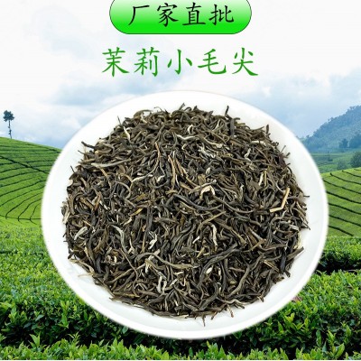 广西横县茉莉花茶 浓香型小毛尖 厂家直销批发