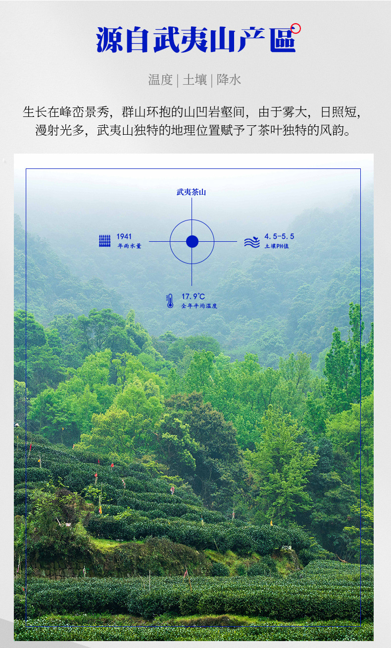 肉桂3.jpg