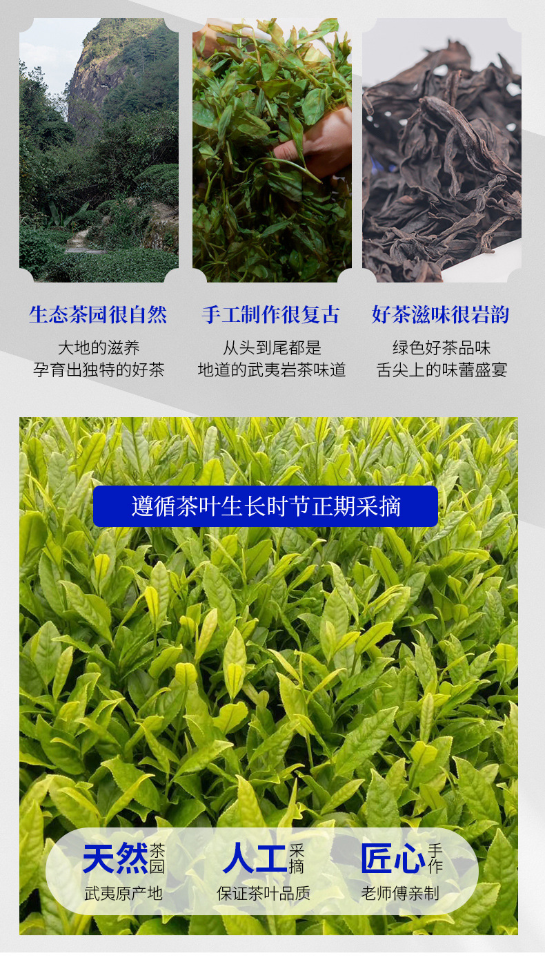肉桂4.jpg