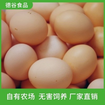 土鸡蛋厂家批发_德谷食品_批发盒装农家鸡蛋_颗颗精选