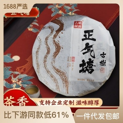 云南普洱茶源头厂家批发临沧正气塘老树纯料紧压357克普洱生茶饼