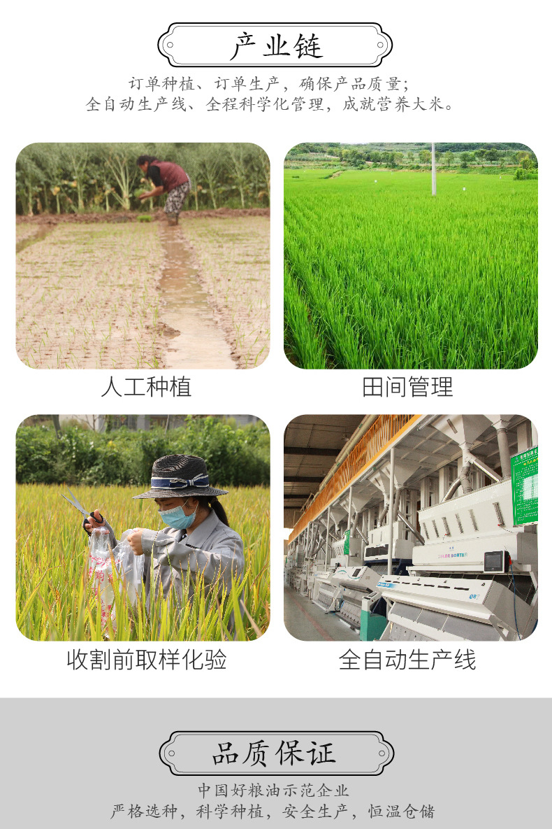 详情_r10_c1_s1