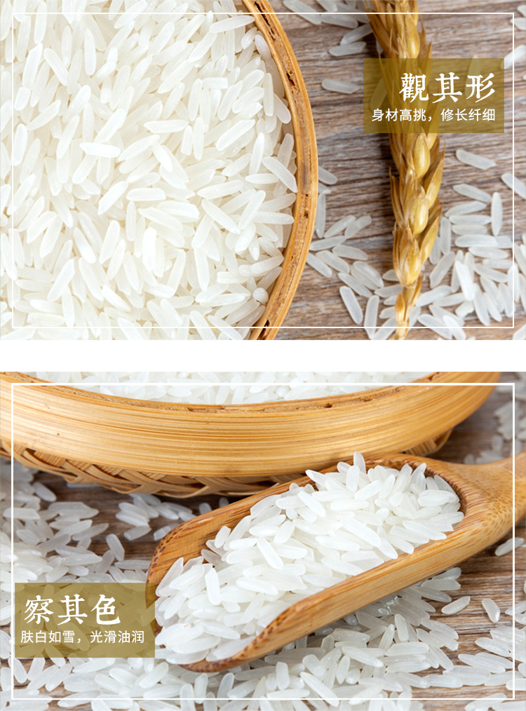 详情_06.jpg