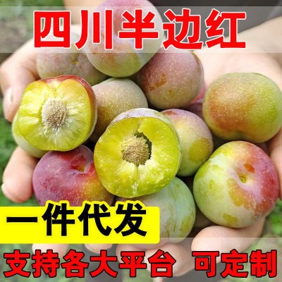 四川茵红李半边红脱骨李青脆李脱核脆甜爽口新鲜孕妇水果一件代发
