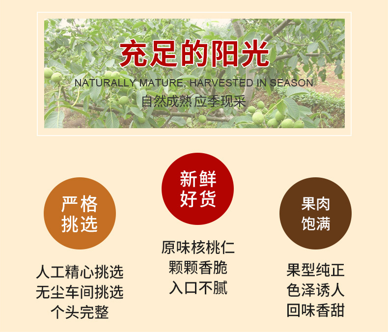 新疆头路核桃仁详情_02