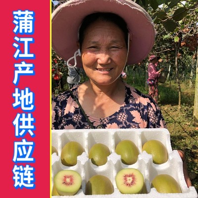 现货四川红心猕猴桃 红心奇异果批发代发产地供应链直发应季水果
