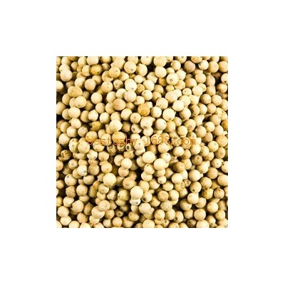 供应白胡椒，出口标准香辛料，餐饮调味品。
