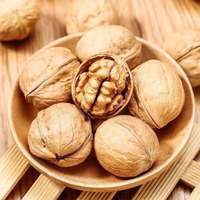 新疆特产薄皮核桃大量批发代发500g 阿克苏核桃坚果手捏生核桃