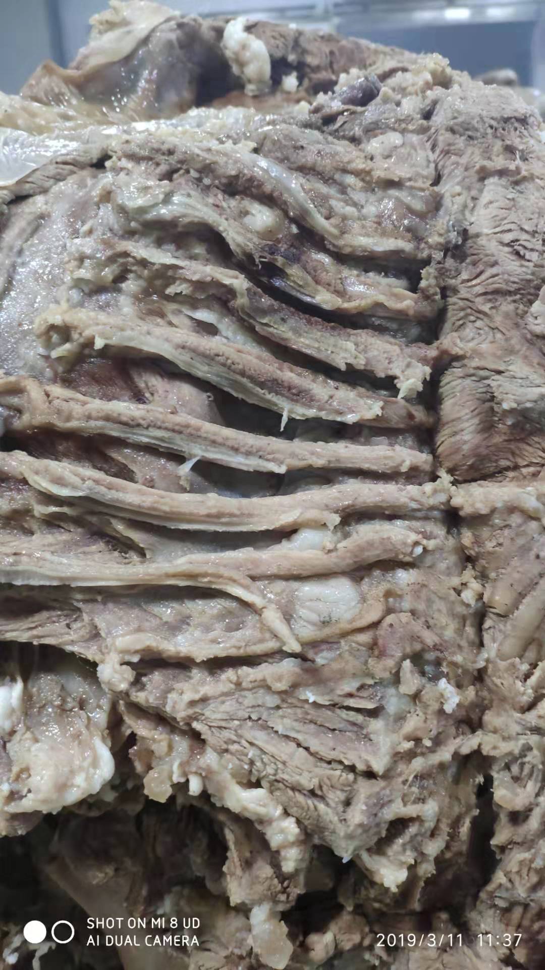 熟制带皮羊肉500400-11
