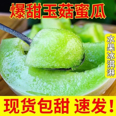 网红冰淇淋玉菇甜瓜新鲜当季水果白皮绿肉香甜玉茹蜜小香瓜包邮