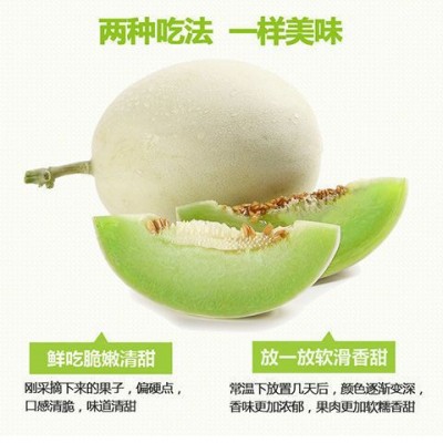 正宗海南哈密瓜新鲜水果当季热带水果精品晓密网纹瓜脆甜多汁