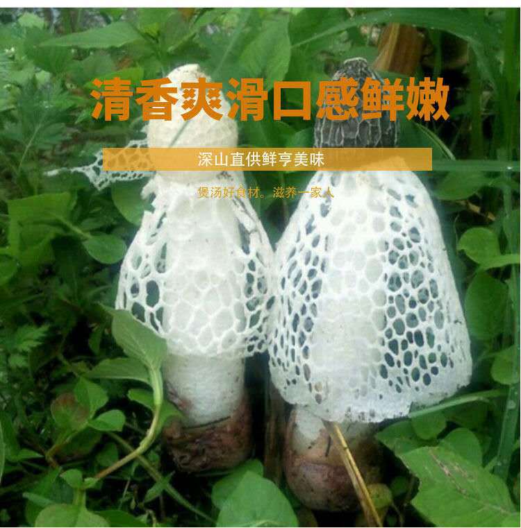 微信图片_20210402191014