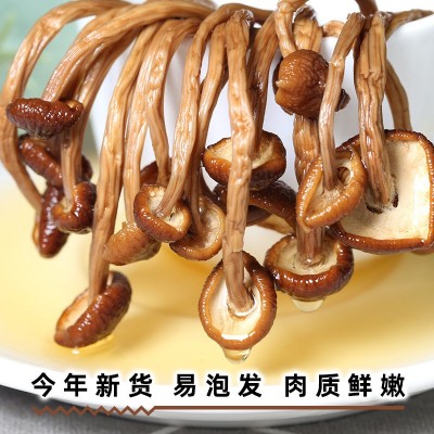 【批发代加工】茶树菇80/250g不开伞茶菇菌菇干货未开伞茶树菇