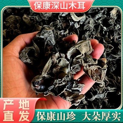 深山黑木耳湖北保康特产鄂西北原生态产地直供木耳农产品干货批发