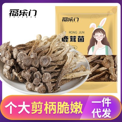 【一件代发】鹿茸菇98g 鹿茸菌菇干货批发云南特产新货
