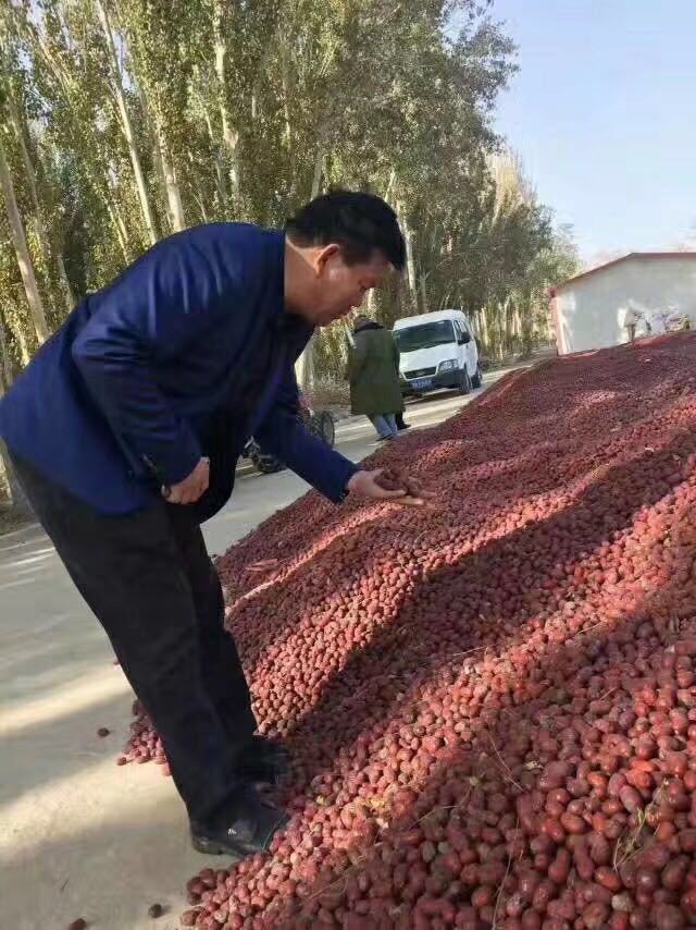 CJP_4841