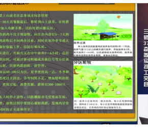 林下生态鸡养殖技术