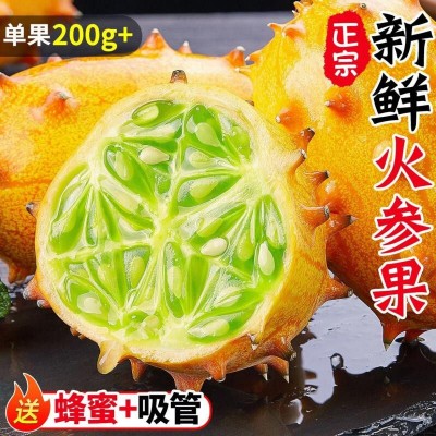夏天里的清热水果 火参果 火星果）批发