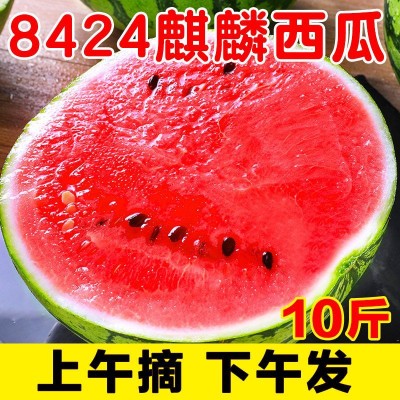 山东西瓜批发基地大棚西瓜上市
