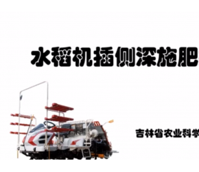 水稻机插侧深施肥技术