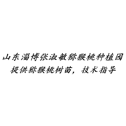 企业logo