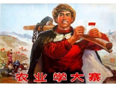主席为何要提议全国农业学大寨，除了要发展农业外，还有其他原因