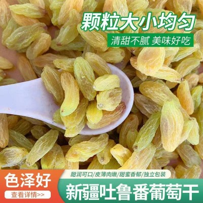 厂家供应新疆绿葡萄干无核吐鲁番葡萄干大粒肉厚干净葡萄干