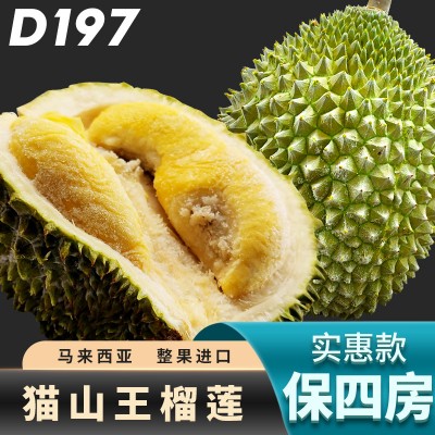 蔬果茂公司供应榴莲
