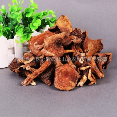 云南 奶浆菌 红奶浆菌 干奶浆菌 食用野生菌 野生奶浆菌批发