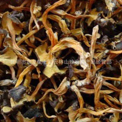 云南野生菌批发 桂花菌鸡油菌 桂花菌云南野生食用菌量大从优