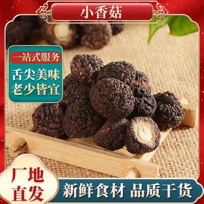 小香菇金钱菇珍珠菇福建特产食用菌农产品干货直供 1.5/2cm