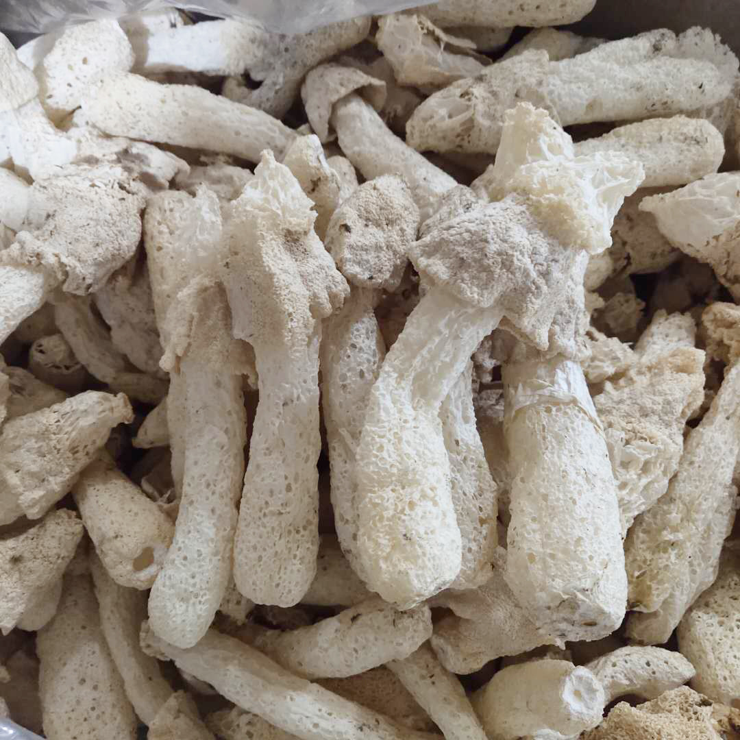 竹荪球2