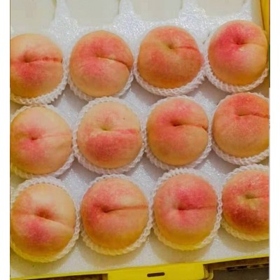 湖景蜜露阳山水蜜桃形美、色艳、味佳、肉细、皮韧易剥