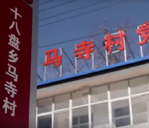 佩服！小伙下乡种香菇，精心研究种植技巧，带领村民致富
