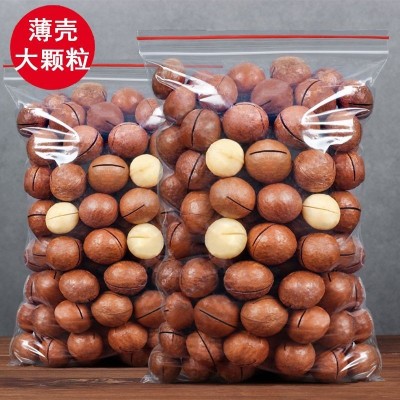 新货夏威夷果连罐250g-1000克袋装奶油味送开果器坚果零食品特产