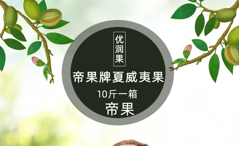 帝果10斤夏威夷果详情页1_01.jpg